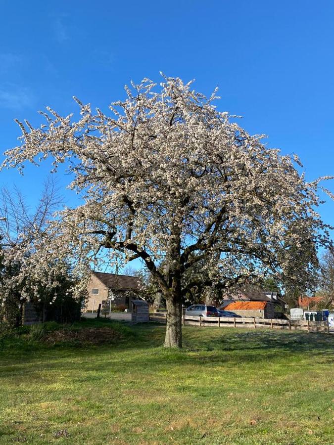 B&B Op De Soursehof Baexem Exteriör bild